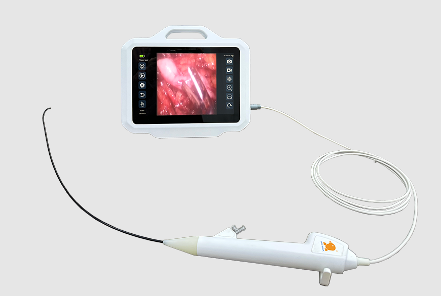 flexible ureteroscope price