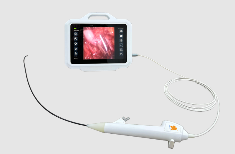 ureteroscope price