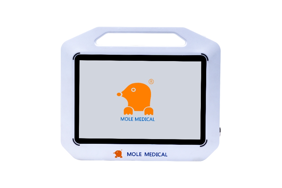 Medical Endoscope Display